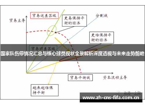 国家队伤停情况汇总与核心球员现状全景解析深度透视与未来走势前瞻